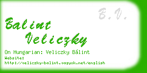 balint veliczky business card